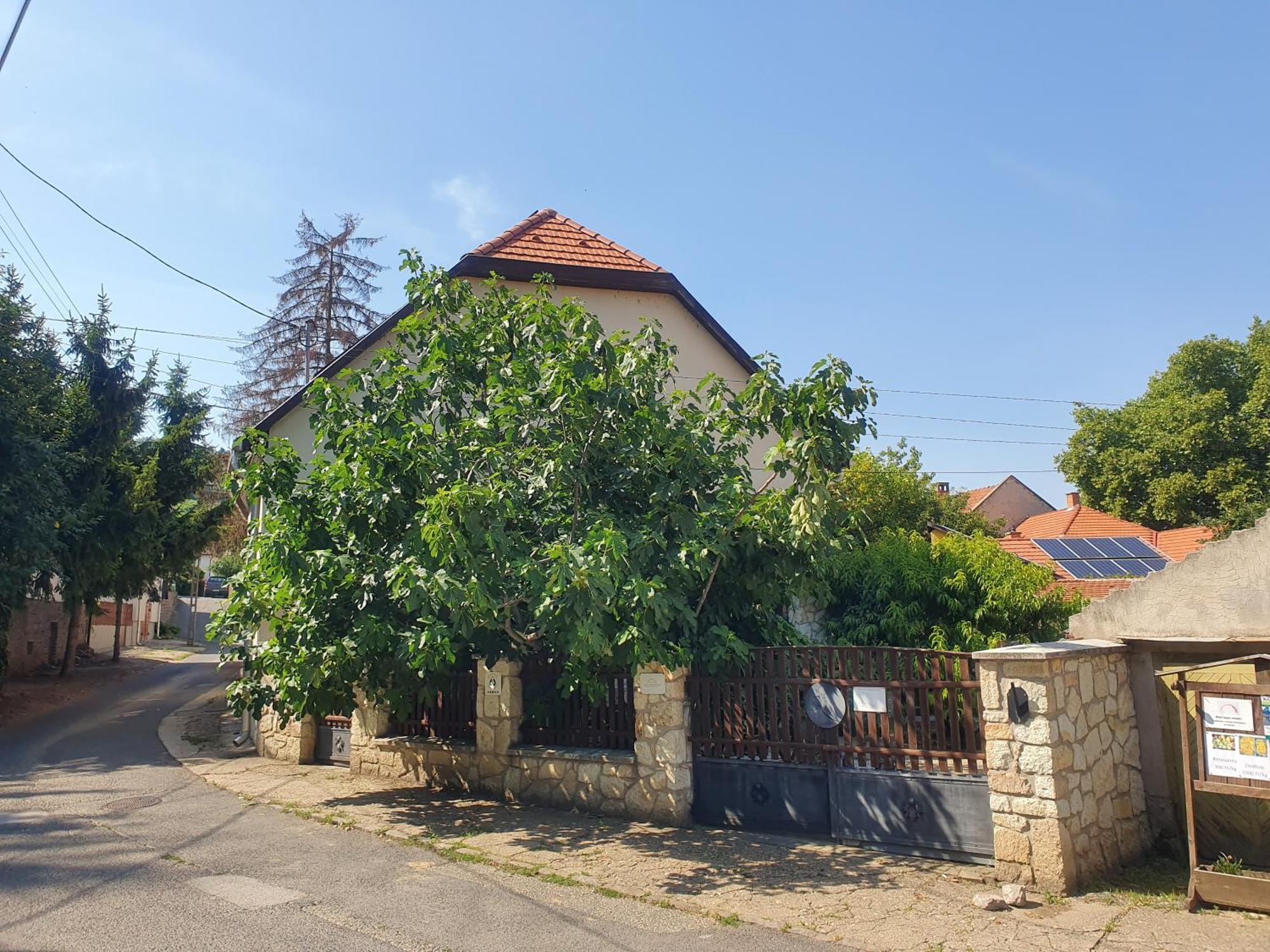 Paulay Borház és Vendégház Tokaj Exterior foto