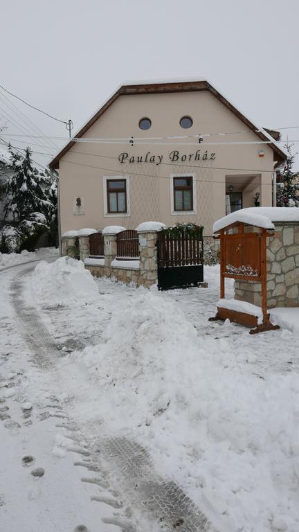Paulay Borház és Vendégház Tokaj Exterior foto